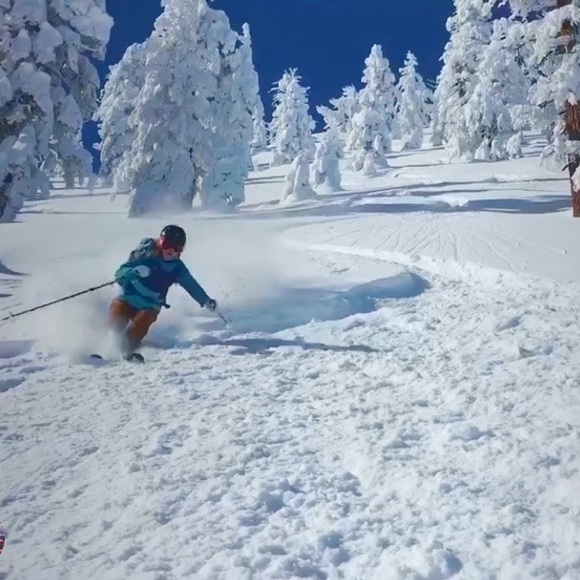 Meet your Posher, Austyn - Picture 10 of 14